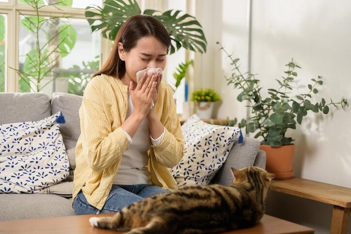 A woman in a yellow sweater sitting in her home with a cat and plants while sneezing into a tissue.