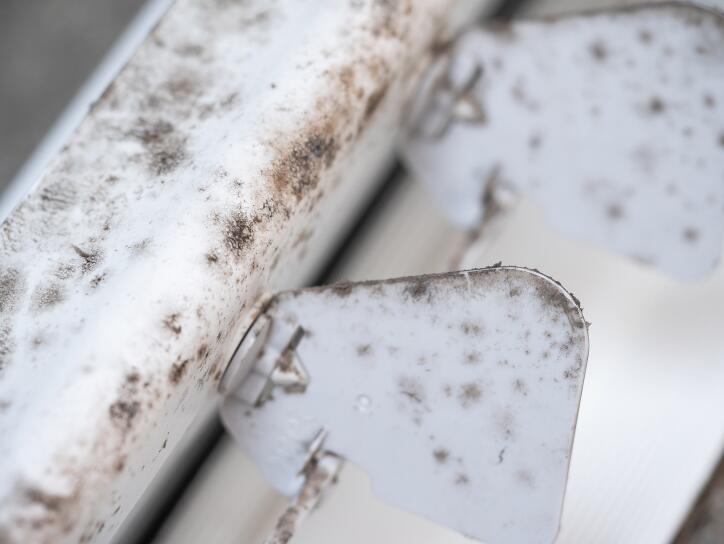 Mold in Air Ducts: Causes, Risks, and Solutions